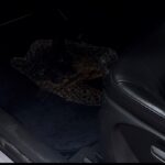 leopar Desen Paspas Set