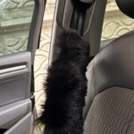 Siyah Peluş Kemer Konfor 2'li